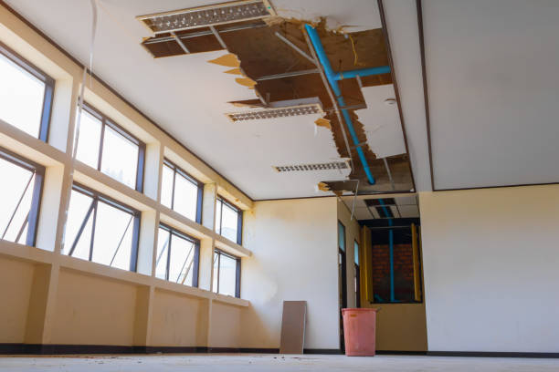 Best Water damage cleanup near me  in Kellyville, OK