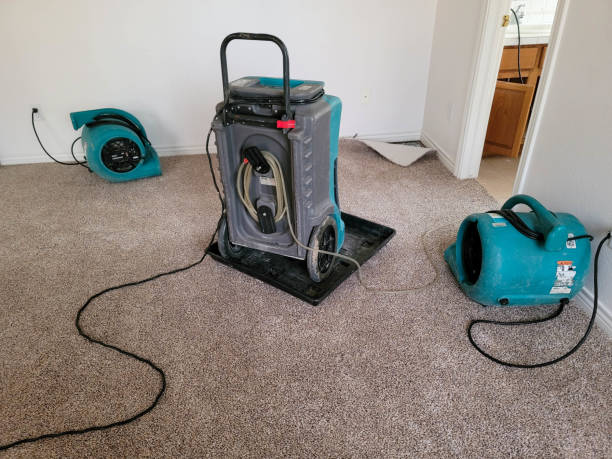 Best 24/7 water damage repair  in Kellyville, OK
