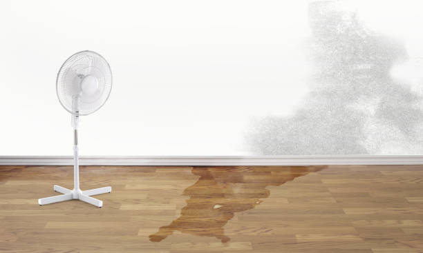 Best Professional water damage repair  in Kellyville, OK