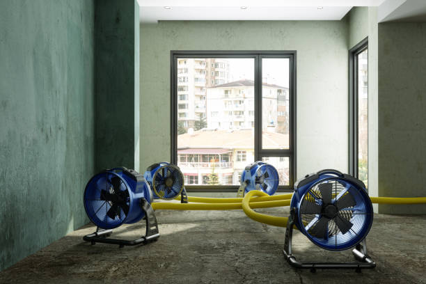 Best Professional water damage repair  in Kellyville, OK